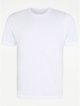 White Crew Neck Jersey T-Shirt